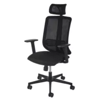 Chaise de bureau professionnelle noire