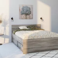 Lit avec rangement 160×200 cm OPUS coloris Chêne corvo gris
