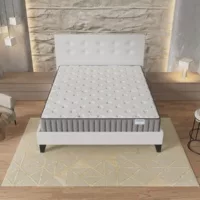 Lit 2 places  NOVEMBER SLEEP ORIONIS + VEGA