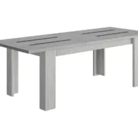 Table 180 cm avec allonge