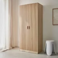 Linear – Dressing, armoire, 2 portes penderie et rangements